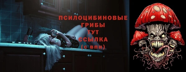 спиды Арсеньев